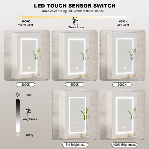 Mepplzian Led Medicine Cabinet,Lighted Medicine Cabinet with Mirror, Mirror Cabinet Wall Mounted Defogger, Memory 3-Color Mode, Dimmer, Anti-Fog 19.5X 27.3Inch